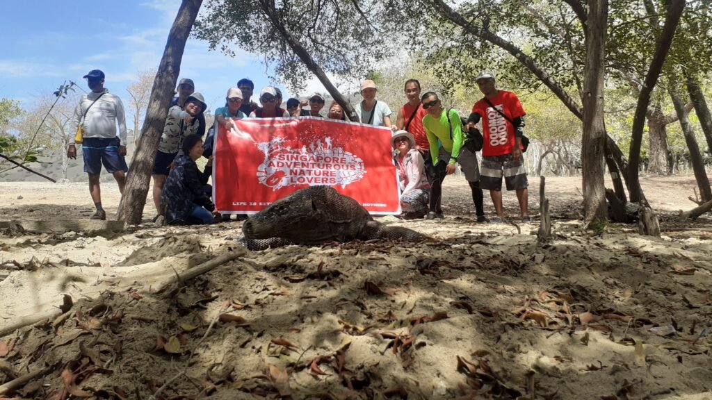 Komodo Island Shore Tours