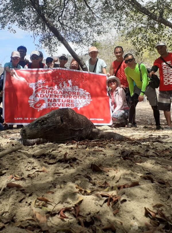 Komodo Island Shore Tours