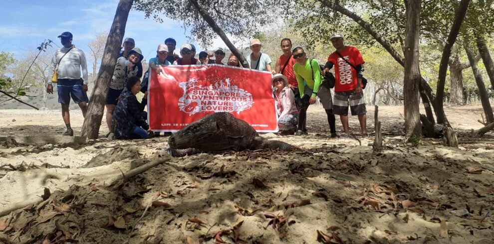 Komodo Island Shore Tours